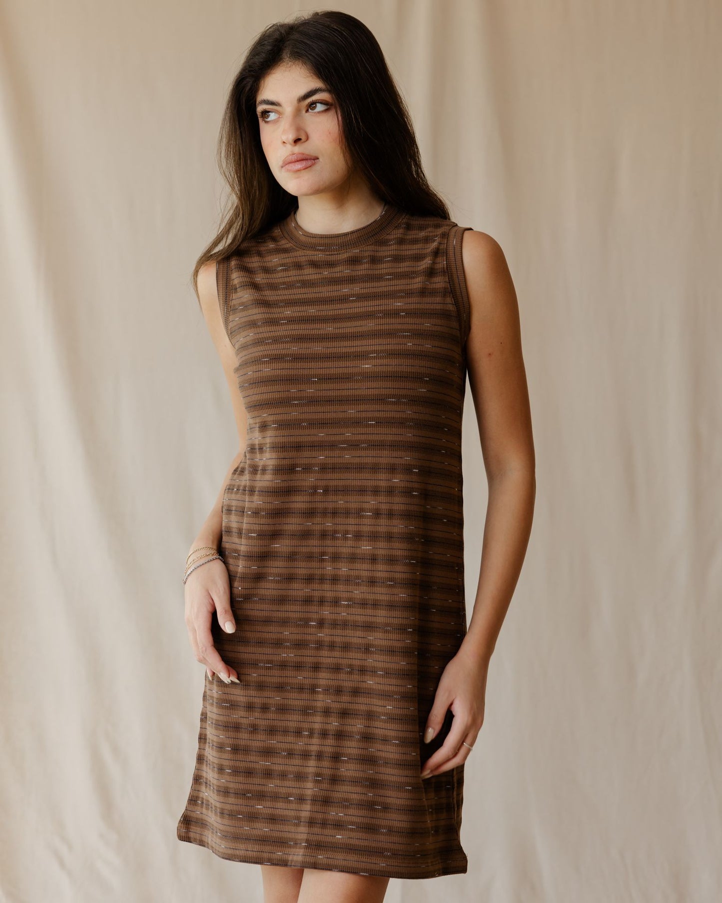 Brown Ribbed Stripe Dress