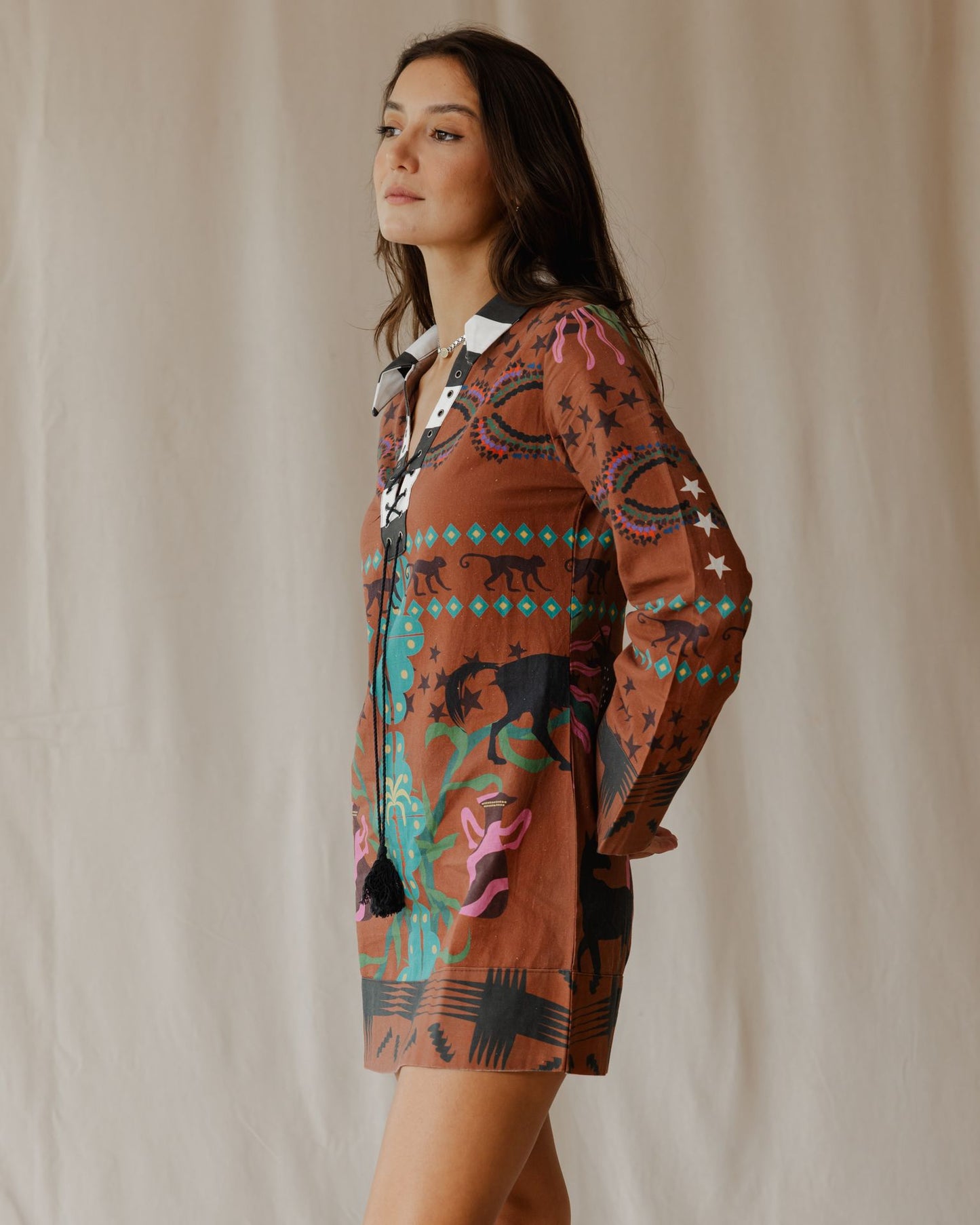 Fantasy Land in Brown Dress
