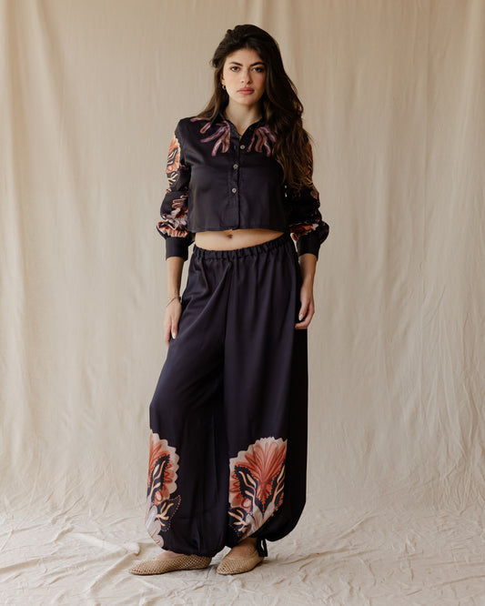 Sundrift Pants In Black